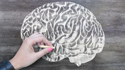 Comment la PCNO renforce la communauté mondiale de recherche sur le cerveau